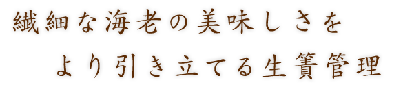 より引き立てる生簀管理