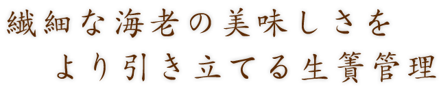 生簀の中の車海老